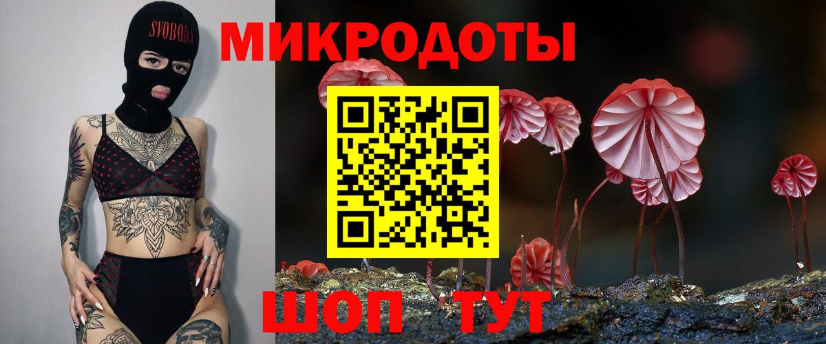 Псилоцибиновые грибы мицелий Серов